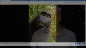 Le selfie du macaque (Alexandre Hocquet) by Enseignements